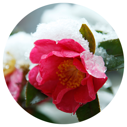 医師の紹介画像1-2月